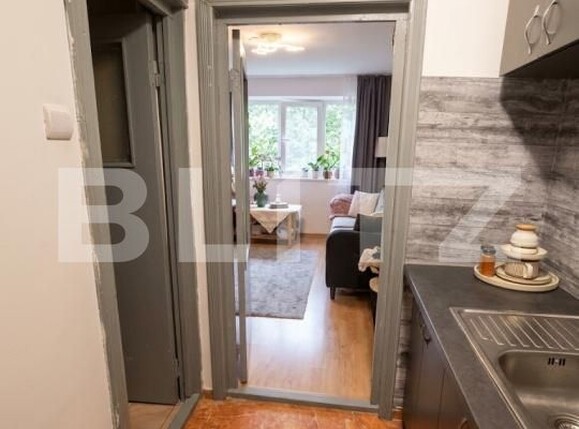 Garsonieră de vânzare Valea Rosie - 209640AV | BLITZ Craiova | Poza2