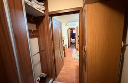 Apartament cu 3 camere, centrala si AC, Craiovita-Materna