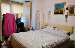 Apartament 3 camere, mobilat retro-modern, Zona Garii