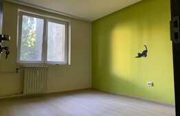 Apartament 2 camere, Brazda lui Novac 