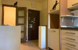 Apartament 2 camere, Brazda lui Novac 