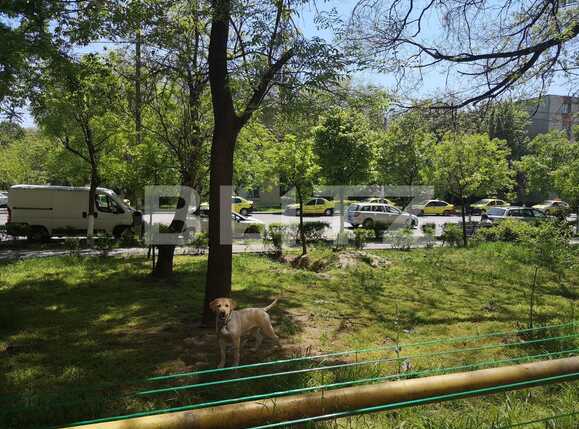 Apartament de vânzare 2 camere Brazda lui Novac - 64199AV | BLITZ Craiova | Poza8