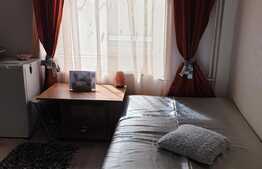 Garsoniera ultracentrala