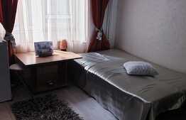 Garsoniera ultracentrala