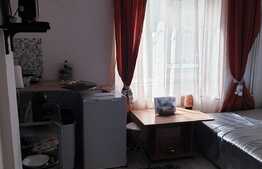 Garsoniera ultracentrala