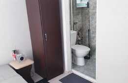 Garsoniera ultracentrala