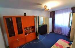 Oportunitate! 2 camere, parter, Valea Roșie.