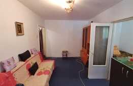 Oportunitate! 2 camere, parter, Valea Roșie.