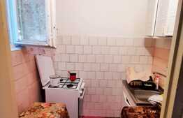 Oportunitate! 2 camere, parter, Valea Roșie.