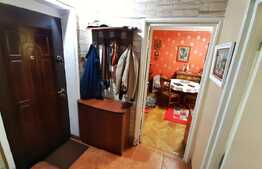 Superb şi cochet într-o zona liniștită. 2 camere, decomandat, Brazdă, zona Liceului 