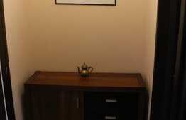 Apartament de 2 camere spatios, cu terasa de 37 mp, zona Toporasi