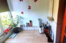 Apartament 3 camere, cartier Rovine, strada Traian Lalescu 