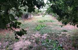 Teren intravilan 1.025 mp, cu toate utilitățile și dublă deschidere, Popoveni