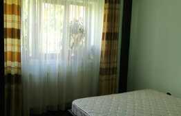 Apartament 2 camere, etaj intermediar, zona Triaj-Rocada