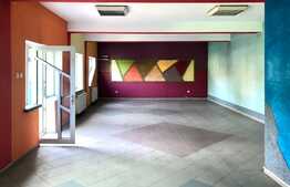 Casa sau spatiu comercial ultracentral