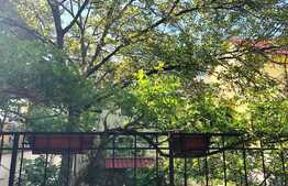 O casa pentru familia ta, spatioasa si confortabila