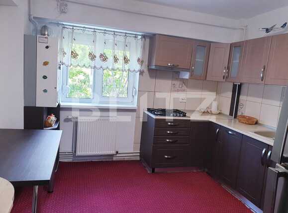 Apartament de închiriat 4 camere Lapus - 64561AI | BLITZ Craiova | Poza4