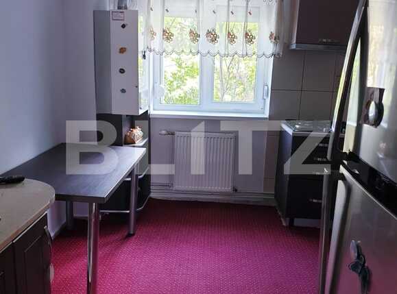 Apartament de închiriat 4 camere Lapus - 64561AI | BLITZ Craiova | Poza5