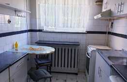 Apartament 2 camere, zona Emanoil Chinezu