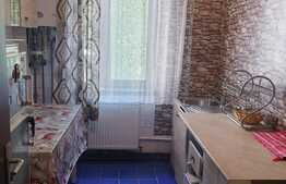 Apartament 2 camere, 53mp, zona Brazda lui Novac