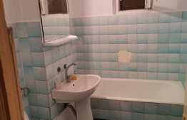 Apartament 2 camere,George Enescu 