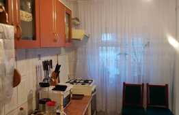 Apartament 2 camere,George Enescu 