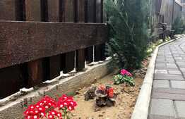 Casa cocheta, aproape de intrarea principala a parcului Romanescu