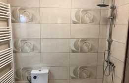 Casa cocheta, aproape de intrarea principala a parcului Romanescu