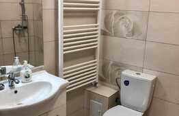 Casa cocheta, aproape de intrarea principala a parcului Romanescu