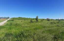 Teren intravilan 31.000 mp, zona Hanul Doctorului 