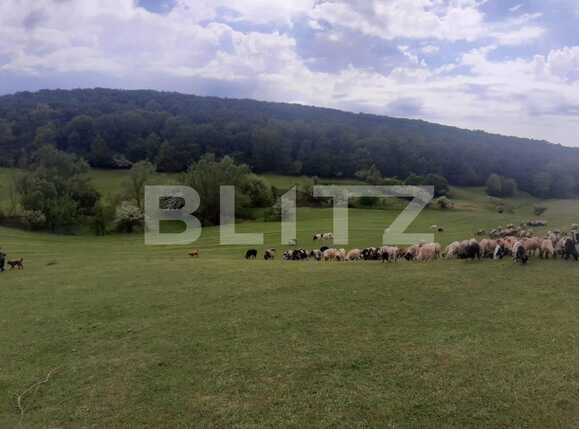 Teren de vânzare Exterior Sud - 64613TV | BLITZ Craiova | Poza1