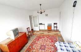 Apartament 3 camere, Craiovița Nouă, în spate la Niela