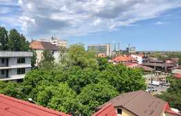 Casa pe 4 niveluri, perfecta pentru o familie numeroasa 