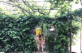 Ocazie! Casa situata central, suprafata utila 109 mp