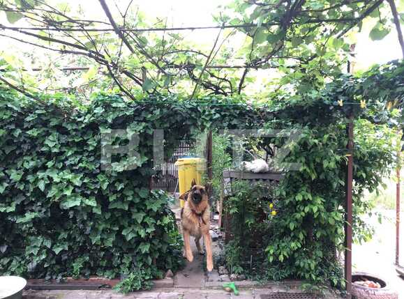 Casa de vânzare 3 camere Central - 64854CV | BLITZ Craiova | Poza11