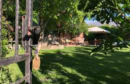 Oportunitate! Casa boiereasca/Penthouse ultracentral, 206mp  utili, 500+mp teren