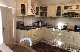 Oportunitate! Casa boiereasca/Penthouse ultracentral, 206mp  utili, 500+mp teren