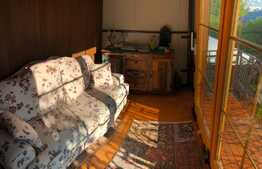 Oportunitate! Casa boiereasca/Penthouse ultracentral, 206mp  utili, 500+mp teren