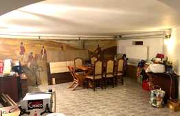 Casa tip pensiune, langa parcul Tineretului, 534mp utili, 2000 mp teren