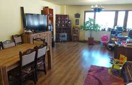 Casa tip pensiune, langa parcul Tineretului, 534mp utili, 2000 mp teren