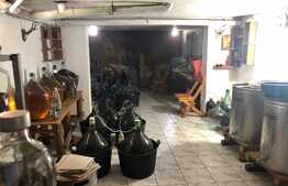 Casa tip pensiune, langa parcul Tineretului, 534mp utili, 2000 mp teren