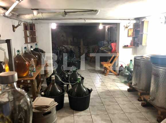 Casa de vânzare 13 camere Mofleni - 65100CV | BLITZ Craiova | Poza8