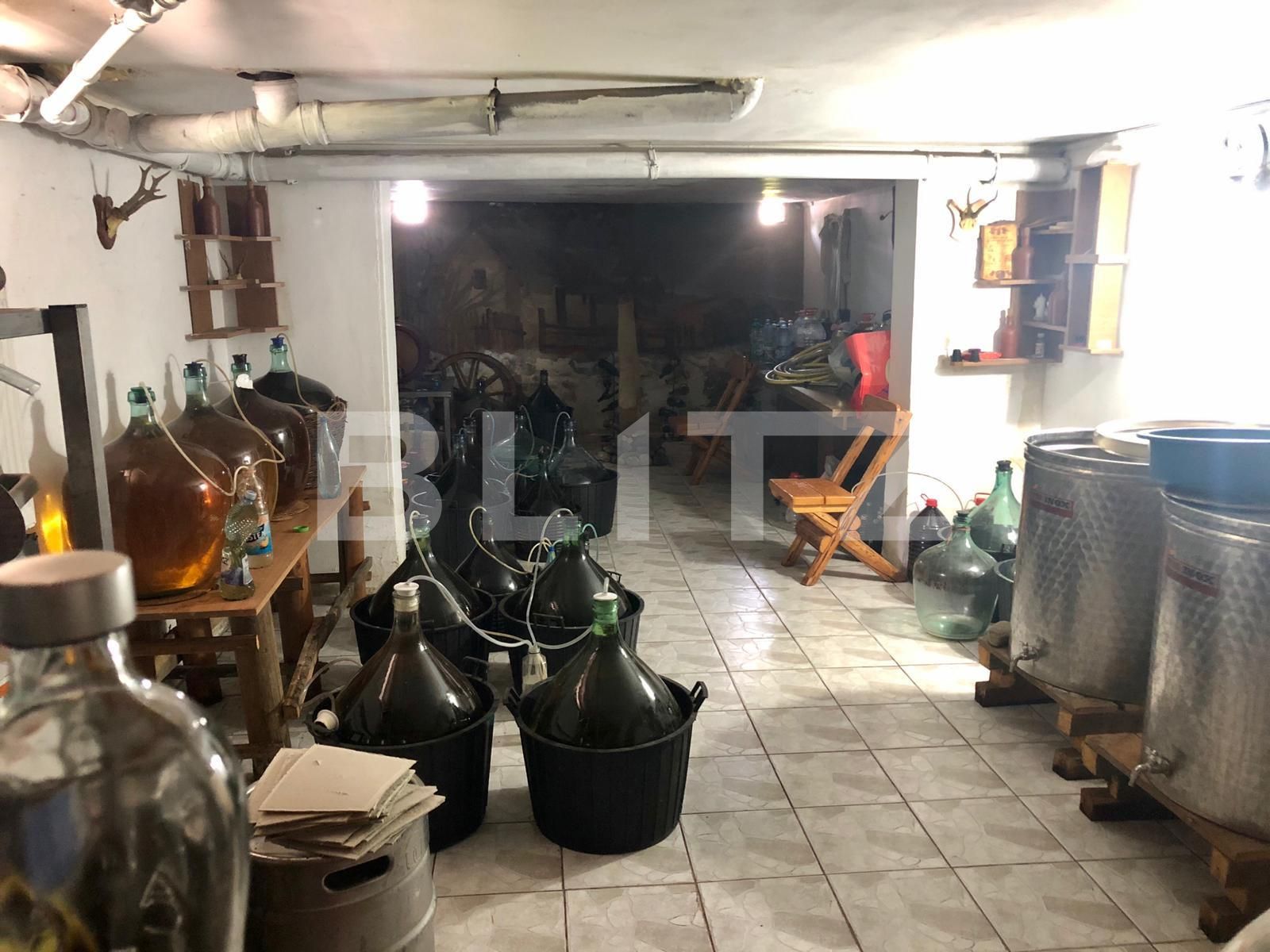 Casa de vânzare 13 camere Mofleni - 65100CV | BLITZ Craiova | Poza8