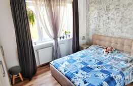 Lux! Apartament 2 camere, zona Calea Severinului