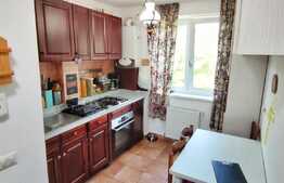 Lux! Apartament 2 camere, zona Calea Severinului