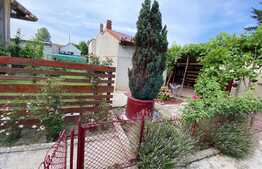 Casă cochetă de 214 mp utili, cu curte deosebită, grădini și anexe 600 mp, în zona Gării de Nord