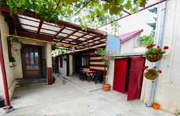 Casă cochetă de 214 mp utili, cu curte deosebită, grădini și anexe 600 mp, în zona Gării de Nord