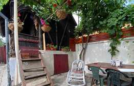 Casă cochetă de 214 mp utili, cu curte deosebită, grădini și anexe 600 mp, în zona Gării de Nord