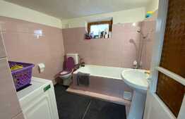 Casă cochetă de 214 mp utili, cu curte deosebită, grădini și anexe 600 mp, în zona Gării de Nord