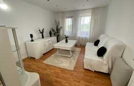 Casă cochetă de 214 mp utili, cu curte deosebită, grădini și anexe 600 mp, în zona Gării de Nord